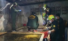 Nguyên nhân khiến 5 người đàn ông tử vong trong bể ủ cá lên men tại Thái Lan