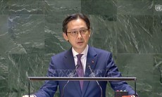 Việt Nam kêu gọi ngừng bắn và tăng cường cứu trợ nhân đạo tại Gaza