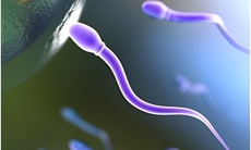 9 loại virus trong tinh dịch có khả năng gây đại dịch
