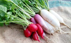 Lợi ích sức khỏe và tác dụng phụ của củ cải
