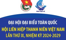 Đại hội đại biểu toàn quốc Hội Liên hiệp thanh niên Việt Nam lần thứ IX