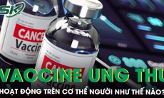 Vaccine ung thư của Nga phát triển hoạt động trên cơ thể người thế nào?