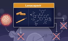 Thuốc kháng virus thế hệ mới mở ra hy vọng chấm dứt đại dịch HIV/AIDS