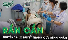 Truyền 18 lọ huyết thanh cứu bệnh nhân bị rắn lục đuôi đỏ cắn 