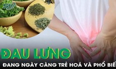 Đau lưng không còn là căn bệnh của người già mà ngày càng trẻ hoá