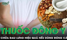 Uống thuốc đông y chữa đau lưng đúng cách để tăng hiệu quả 