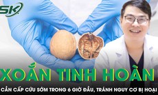 Cấp cứu trong 6 giờ đầu giúp bệnh nhân xoắn tinh hoàn tránh nguy cơ bị hoại tử