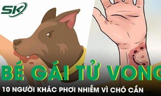 Xót xa bé gái 4 tuổi tử vong, 10 người khác phơi nhiễm vì chó cắn 