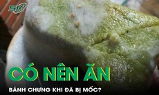 Bánh chưng mốc có ăn được không?