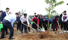 Chủ tịch nước dự Lễ phát động Tết trồng cây 'Đời đời nhớ ơn Bác Hồ'