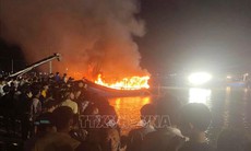 Đẩy nhanh tiến độ giải quyết hậu quả vụ cháy 11 tàu cá ở Bình Thuận