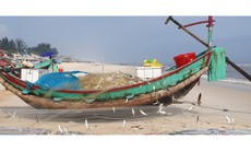 Ngư dân Quảng Bình bội thu 'lộc biển' trong chuyến ra khơi đầu năm