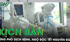 TPHCM lên kịch bản ứng phó dịch bệnh, ngộ độc dịp Tết Nguyên đán Giáp Thìn 2024