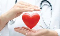 Tản mạn ngày Xuân về y lý, y đức và y thuật