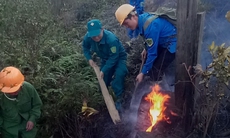 Cấp bách ngăn cháy rừng lan rộng ở Vườn Quốc gia Hoàng Liên
