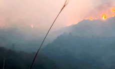 Cháy vườn quốc gia Hoàng Liên gây nguy hại cho hệ sinh thái thế nào?