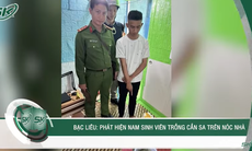 Sáng 22/2: Nam sinh viên biến nóc nhà thành nơi trồng cần sa để dùng và bán lấy tiền tiêu xài