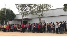 Nghệ An: Công nhân ngừng việc vì bị chậm lương đã đi làm trở lại