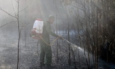 Khống chế đám cháy không để lan vào Vườn quốc gia Phú Quốc