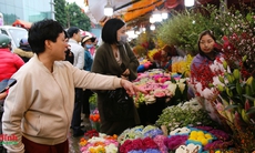 Chợ hoa Quảng An tấp nập ngày giáp Tết