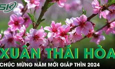 Xuân Thái Hòa - Chào năm mới Giáp Thìn 2024