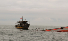Tàu cá bị tàu vận tải biển đâm chìm: Tìm kiếm thuyền viên mất tích