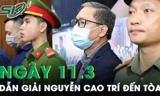 Ngày 11/3, Trương Mỹ Lan và Nguyễn Cao Trí sẽ 'tái ngộ' tại tòa