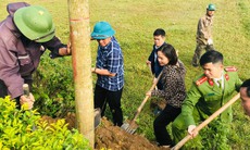 Xuân Phổ 'chuyển mình' cùng nông thôn mới kiểu mẫu