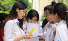 Chi tiết đáp án các mã đề thi khảo sát lớp 11 môn Toán 2024 tại Hà Nội