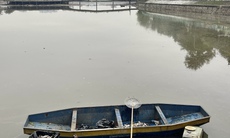Cá chết ở hồ Thuỷ Sứ, Tây Hồ: Lãnh đạo phường nói gì?