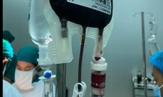 'Ngân hàng máu sống' giúp nhiều bệnh nhân được tái sinh