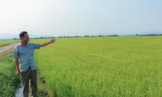 Kỳ lạ: Khu đất múc lên rồi lại tự đầy