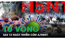 Bệnh nhân cúm A/H5N1đã tử vong, những người tiếp xúc theo dõi sức khỏe