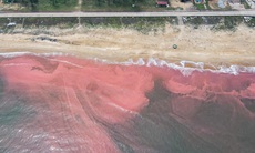 Nước biển chuyển màu đỏ ở Hà Tĩnh có gây hại không?