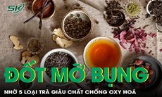 Đốt cháy mỡ bụng với 5 loại trà giàu chất chống oxy hóa