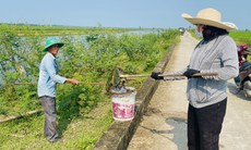 Cá trên sông Ô Giang liên tục chết không rõ nguyên nhân