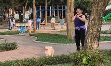 Đội bắt chó thả rông ở Hà Nội: Đem chó về, xử lý ra sao?
