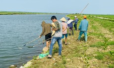 Thông tin mới vụ cá trên sông Ô Giang liên tục chết không rõ nguyên nhân