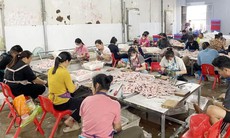 Quảng Ninh: Thu giữ 2 tấn chân vịt không rõ nguồn gốc