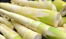 Cách dùng măng tre làm thuốc