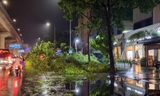 Loạt cây xanh ở Hà Nội ngã đổ sau trận mưa lớn