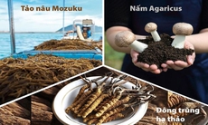 Tác dụng của Fucoidan trong hỗ trợ người bệnh tuyến giáp