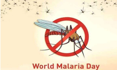 10 lời khuyên phòng ngừa, giảm nguy cơ mắc bệnh sốt rét
