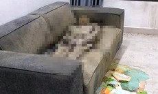 Sáng 29/4: Cô gái tử vong trên Sofa ở Hà Nội bị tháo sim điện thoại, ô tô cá nhân biến mất bí ẩn