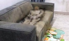 Lý giải vì sao lực lượng chức năng không tìm kiếm ‘cô gái tử vong trên sofa’ ở Hà Nội