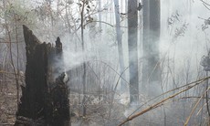 Sơn La: Cháy rừng tại Mường La