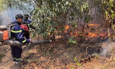 Huy động mọi lực lượng khống chế cháy rừng ở Nghệ An