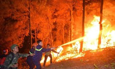 Nhiều rừng đang ở mức cảnh báo cháy, Thủ tướng yêu cầu tăng cường phòng, chống