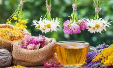 Cách làm 10 loại trà thảo mộc thải độc cơ thể tốt cho sức khoẻ 
 