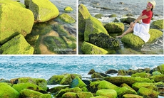 Hút hồn vẻ đẹp rêu xanh phủ kín bãi đá ở Phú Yên